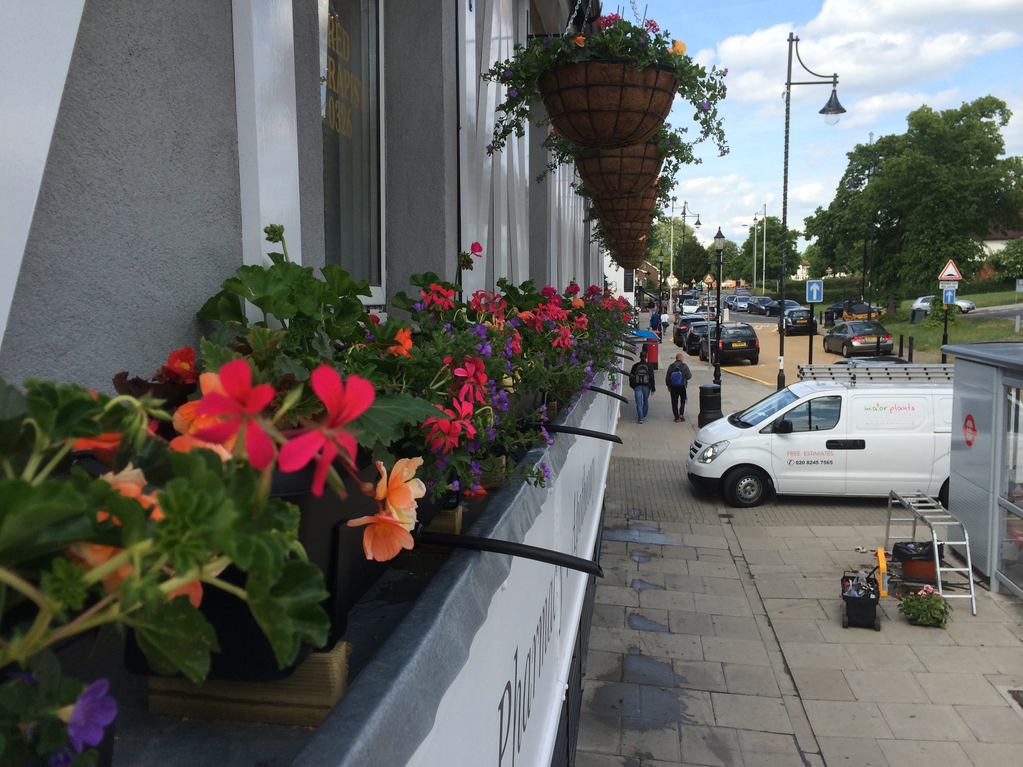 Hanging Basket Maintenance London UK